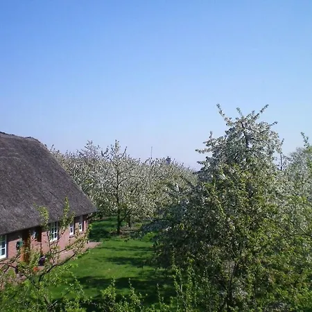 2 Luheblick